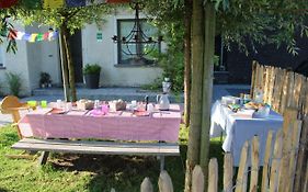 Saffels Nest